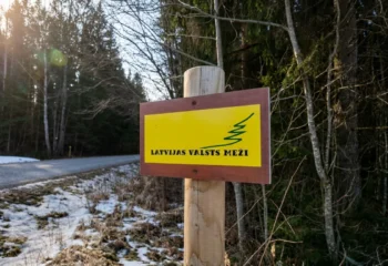 Latvia’s State-Owned Forestry Giant LVM Still Offline Weeks After Ransomware Attack